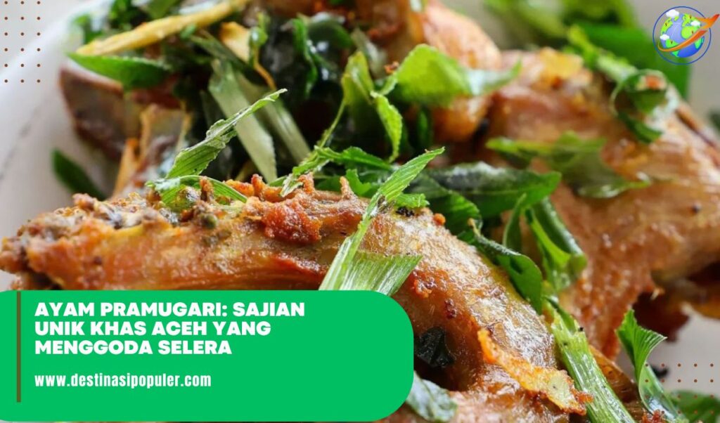 Ayam Pramugari: Sajian Unik Khas Aceh yang Menggoda Selera